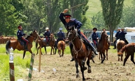 На территории Ростовской области создается конный центр