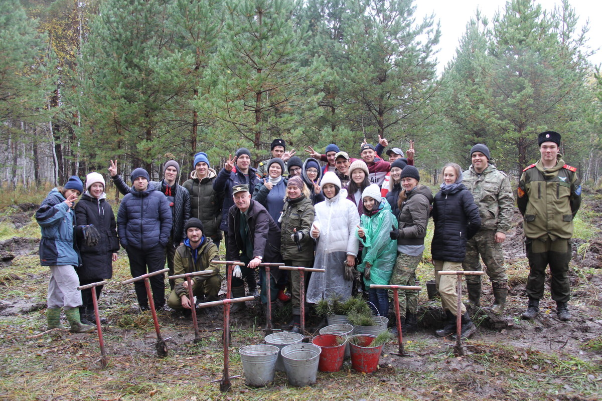 Новосибирская казачья молодежь высадила 4 тысячи сосен