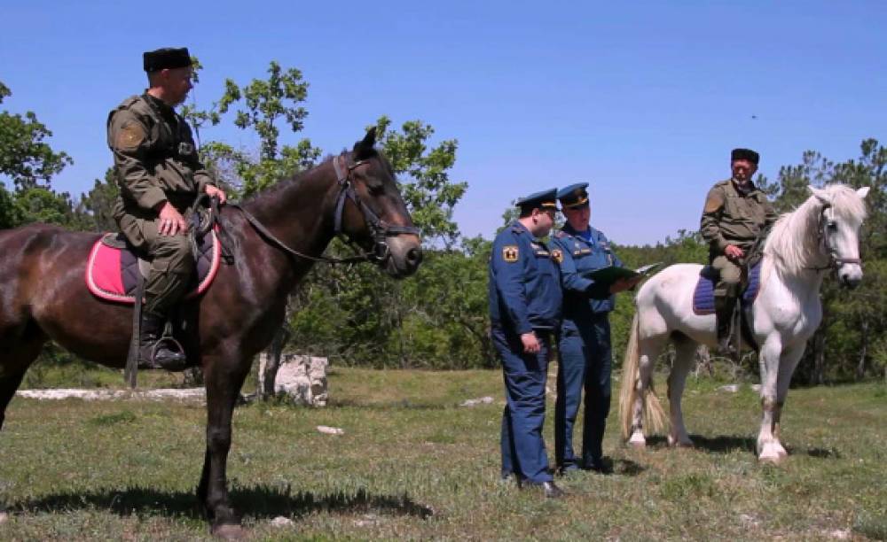 В Севастополе конные патрули казаков защищают леса от пожара
