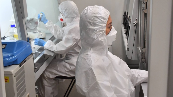 Биолаборатории на Украине проводили испытания на военных: обнародована схема координации